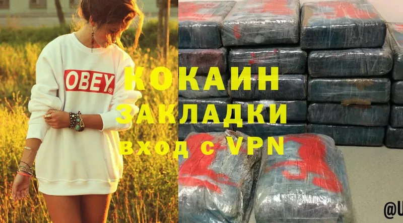 хочу наркоту  mega ССЫЛКА  Cocaine FishScale  Дедовск 